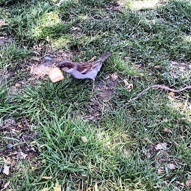 Made a new friend...