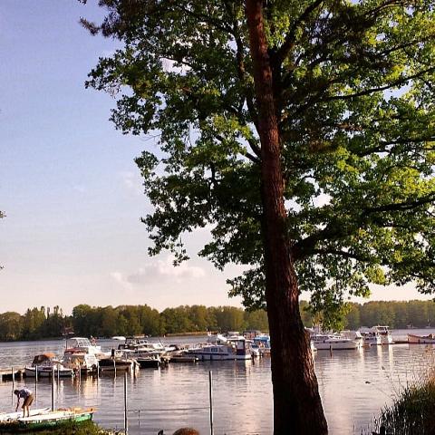 Pretty campsite. by Scott Joyce