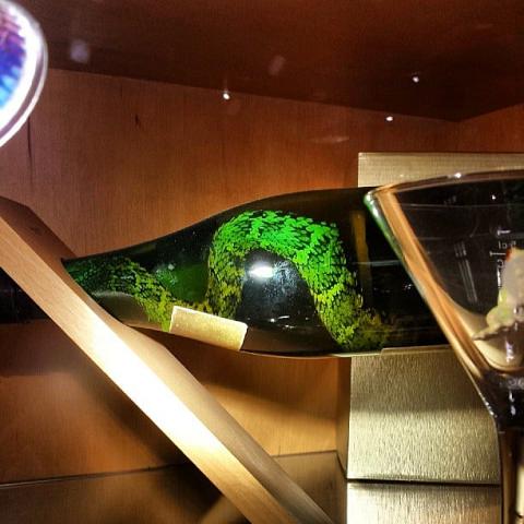Waiter! There's a snake in my wine! by Scott Joyce