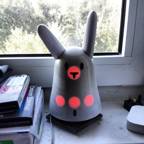 Rabbitbert is feeling eevil.
