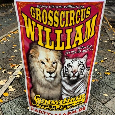 Circuses: still evil. by Scott Joyce