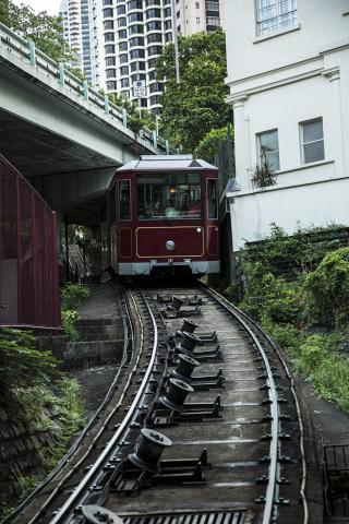 _82A2918 by Scott Joyce