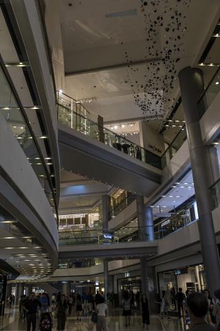 _82A3085 by Scott Joyce