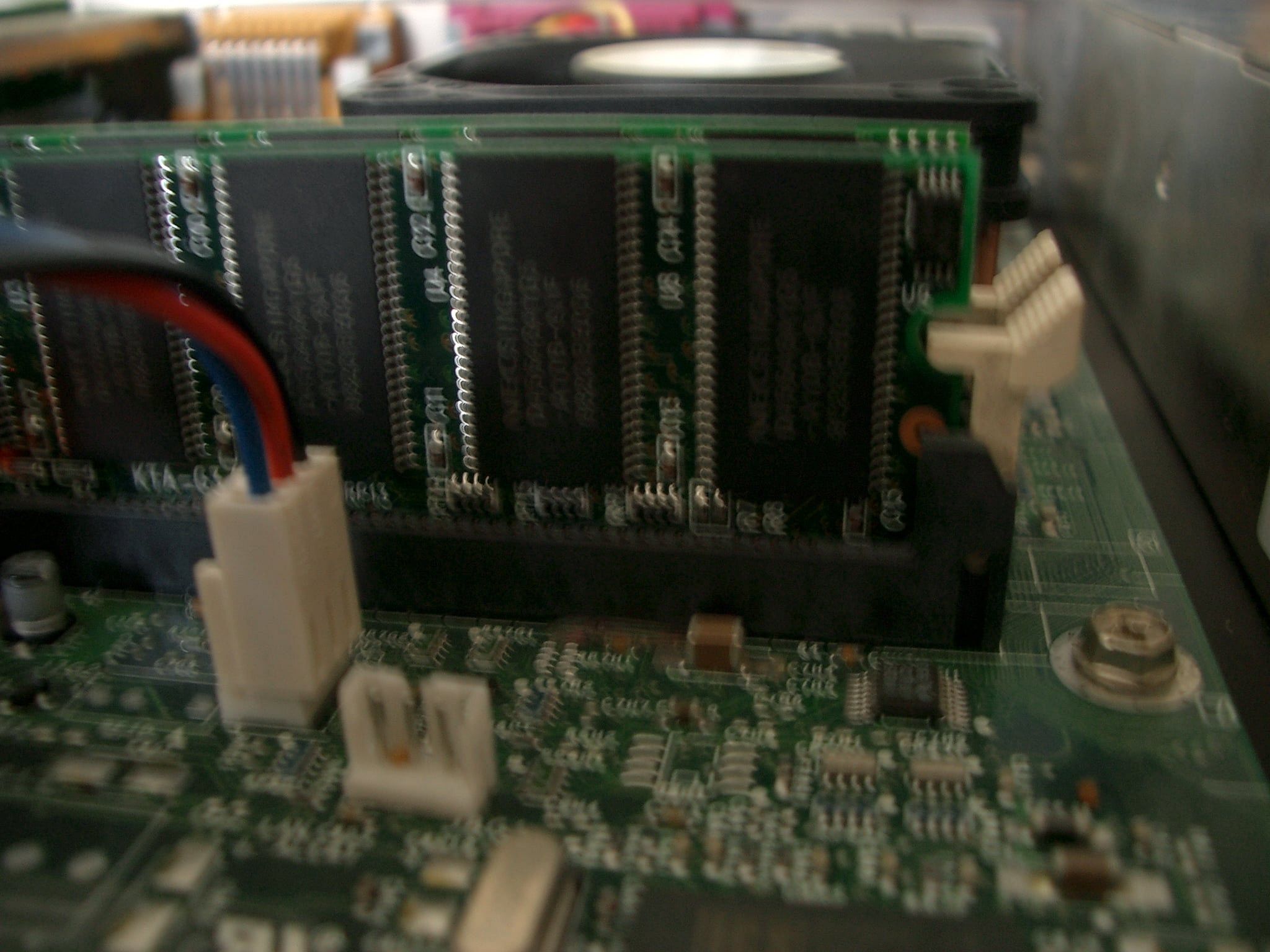 Large image