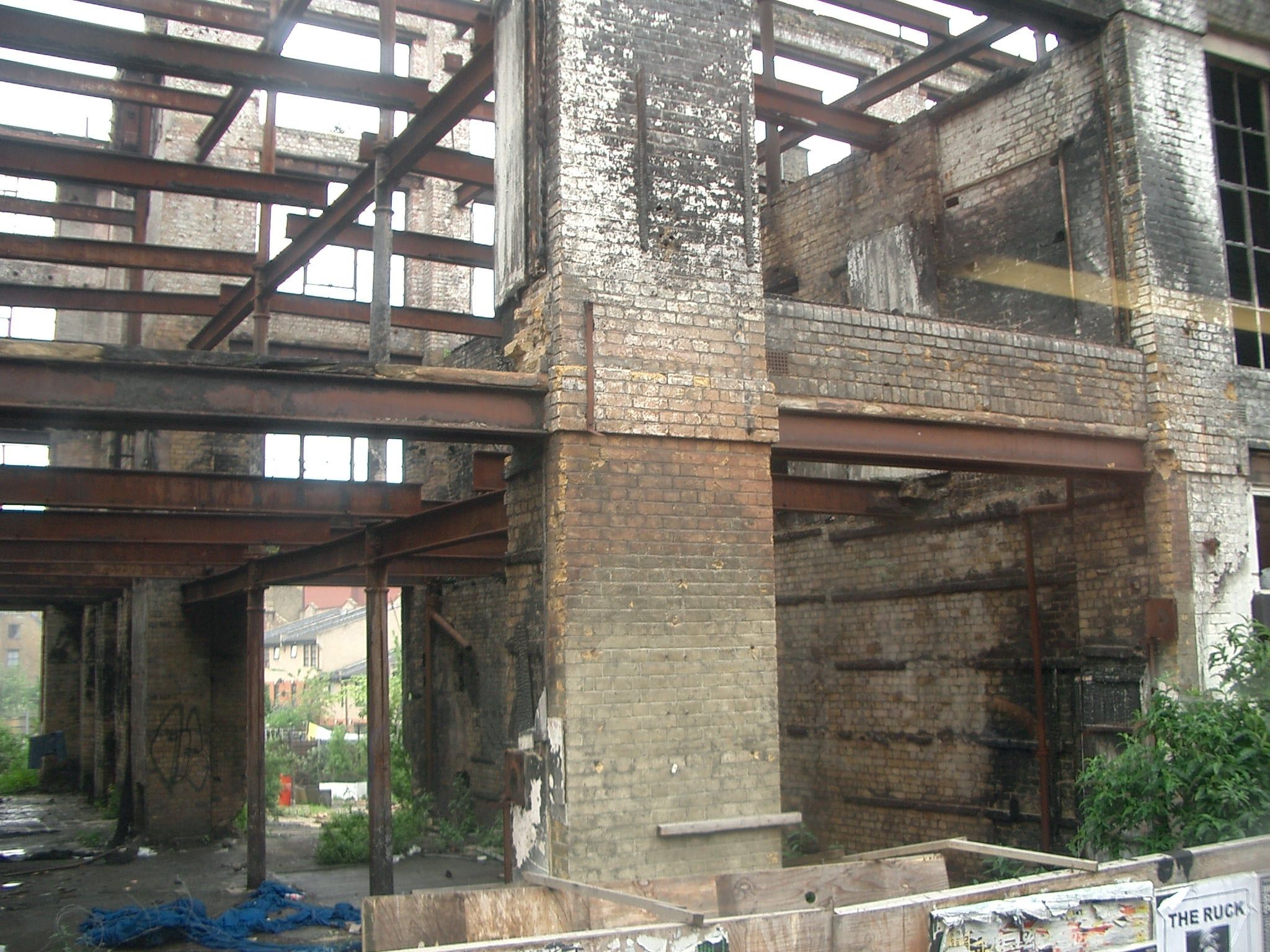 Large image