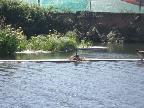 CIMG4176 by Scott Joyce