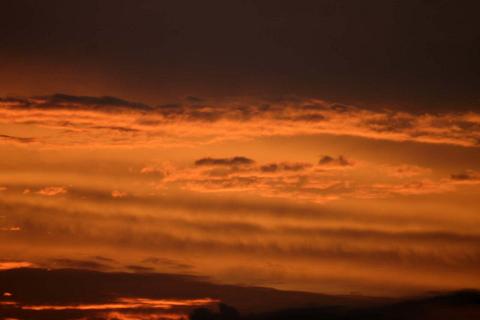 IMG_1254 by Scott Joyce