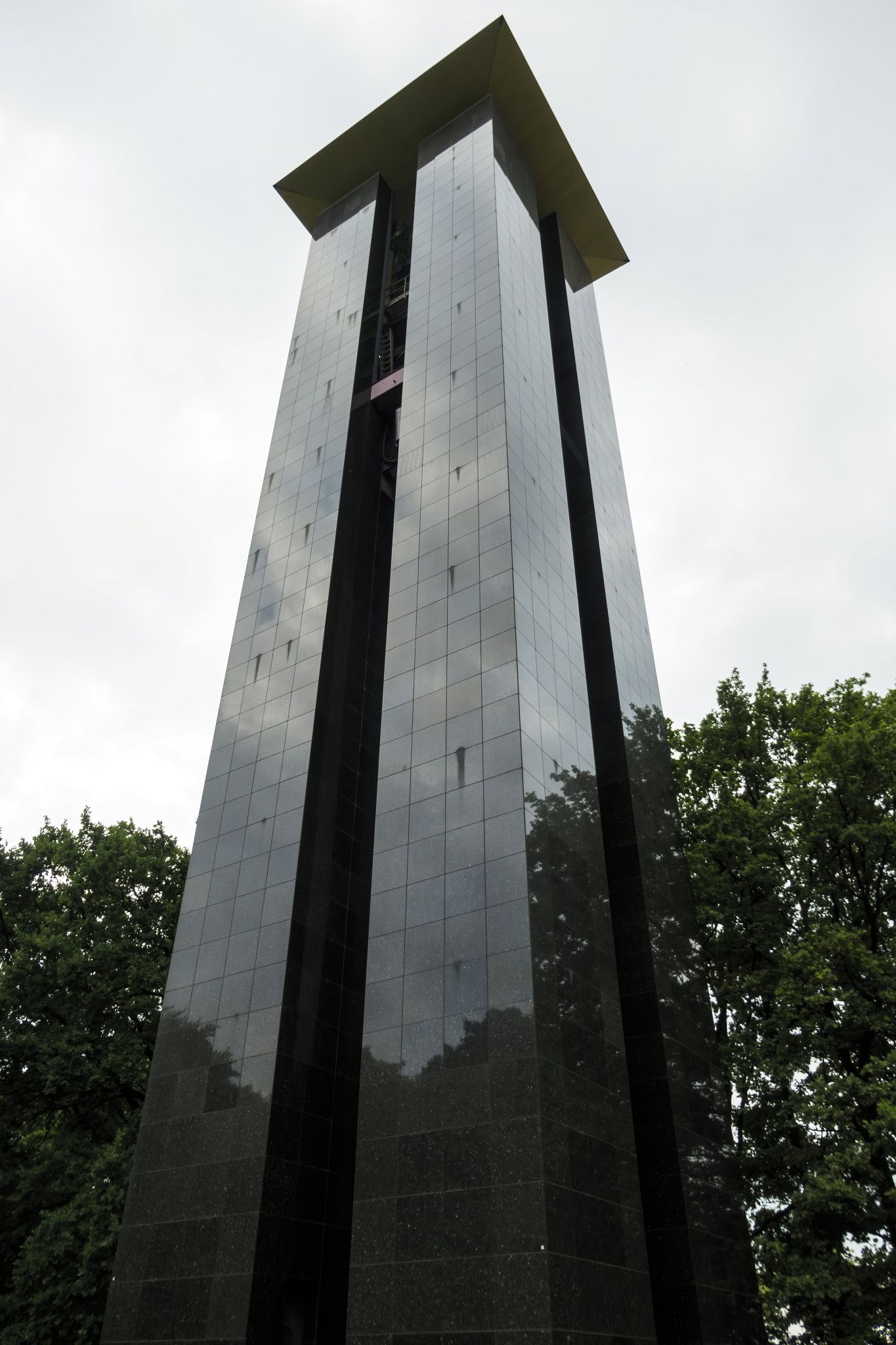 Large image