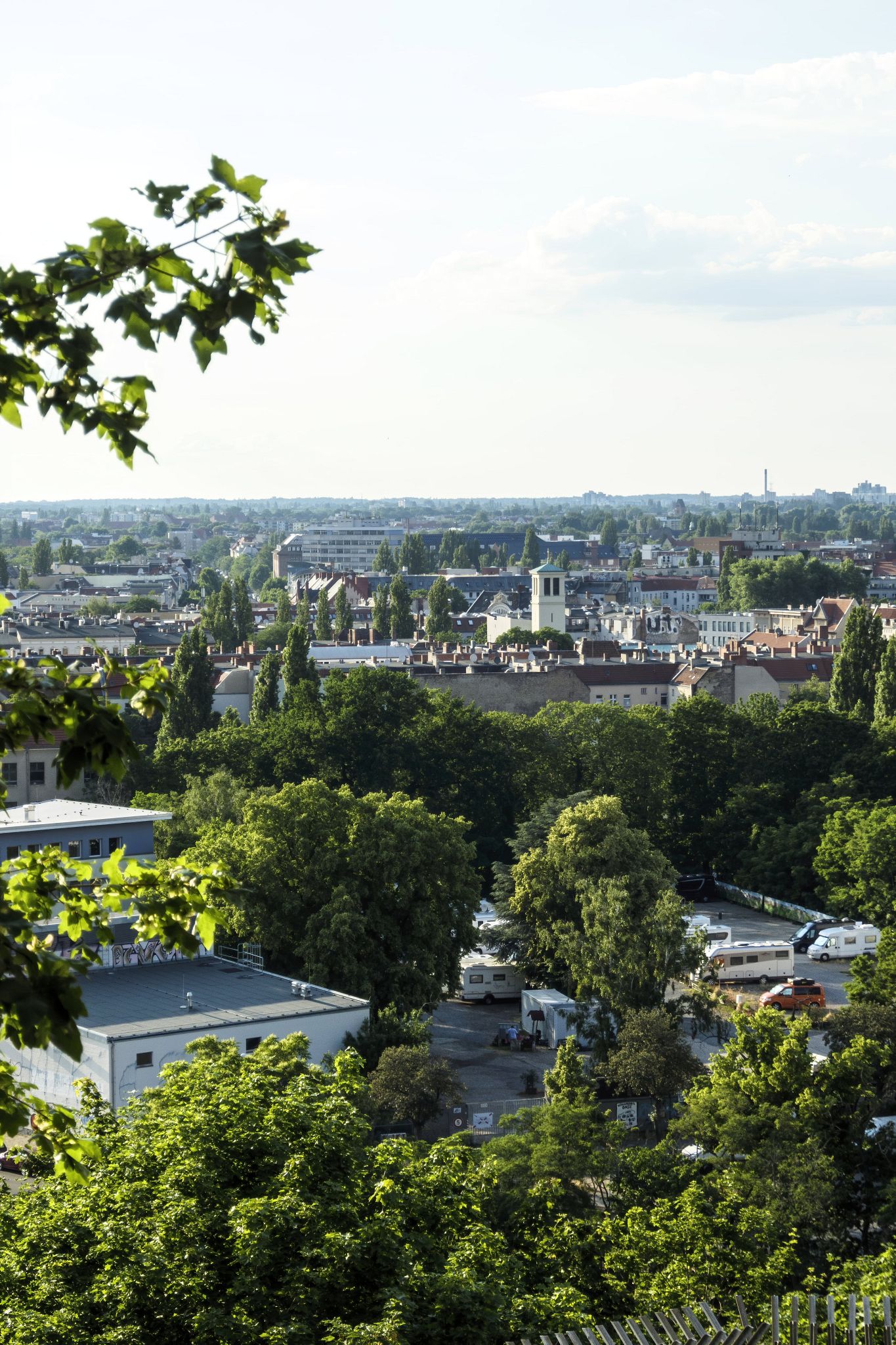 Large image