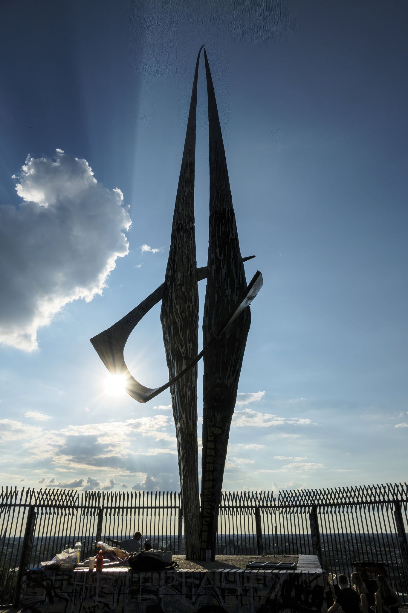 Large image