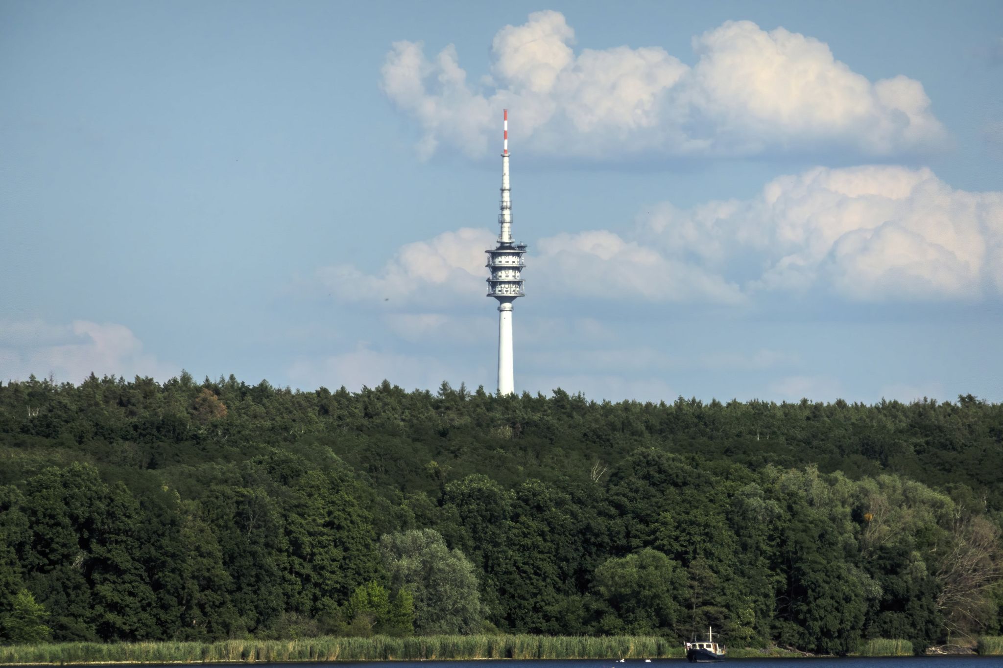 Large image