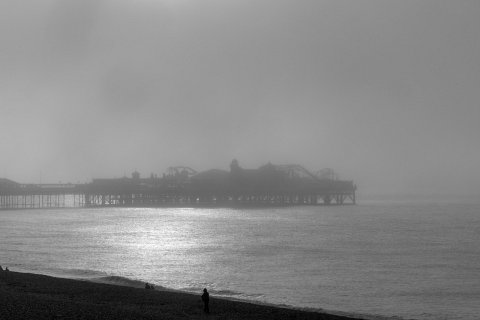 Photograph by Scott Joyce