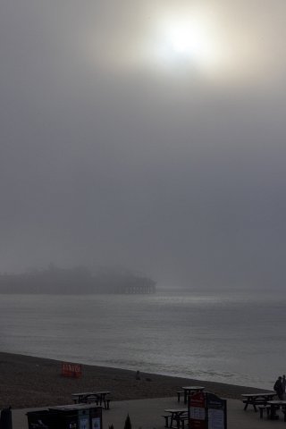 Photograph by Scott Joyce