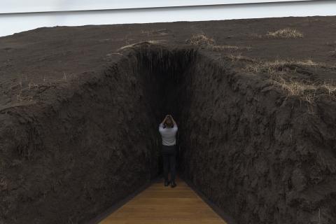 Photograph by Scott Joyce