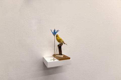 Photograph by Scott Joyce