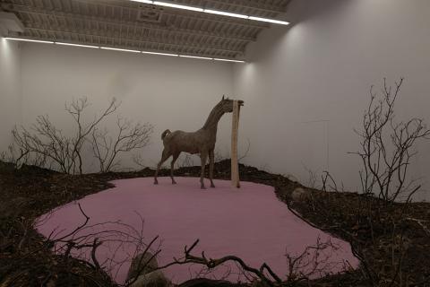 Photograph by Scott Joyce