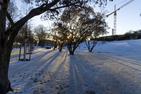 Berlin Snow! January 2026