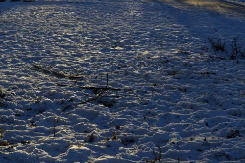 Photograph by Scott Joyce