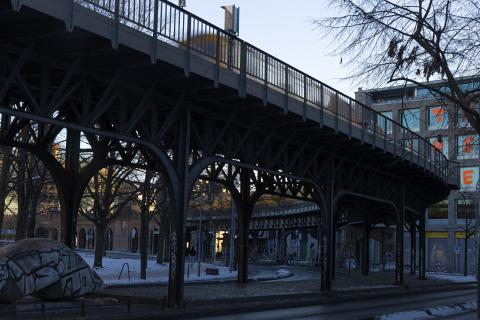 Photograph by Scott Joyce