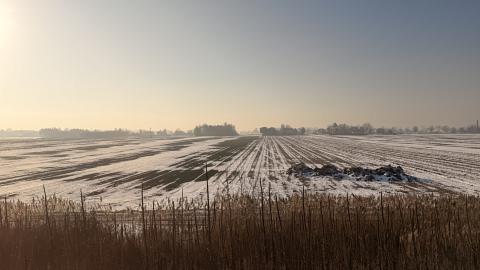 Photograph by Scott Joyce