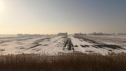 Photograph by Scott Joyce