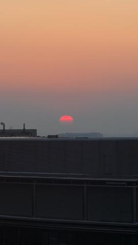 Photograph by Scott Joyce