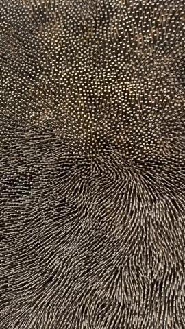 Photograph by Scott Joyce