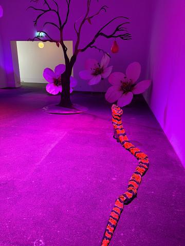 Photograph by Scott Joyce