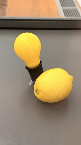 Photograph by Scott Joyce