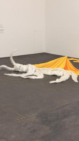 Photograph by Scott Joyce