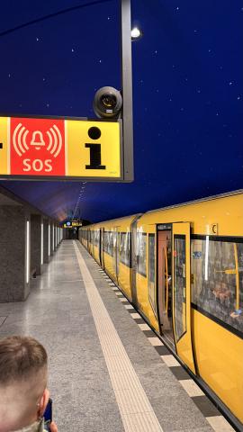 Photograph by Scott Joyce