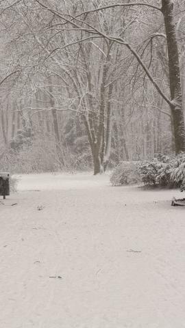 Photograph by Scott Joyce