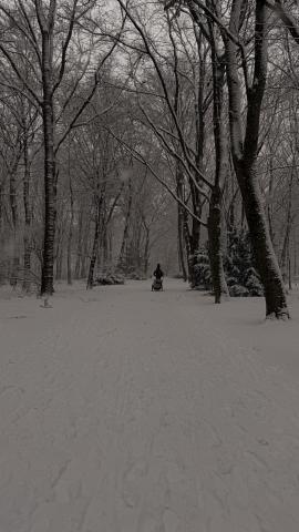 Photograph by Scott Joyce