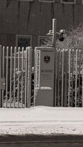 Photograph by Scott Joyce