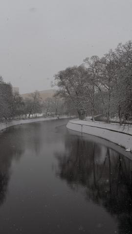 Photograph by Scott Joyce