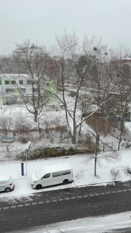 Photograph by Scott Joyce