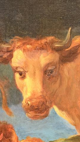 Photograph by Scott Joyce