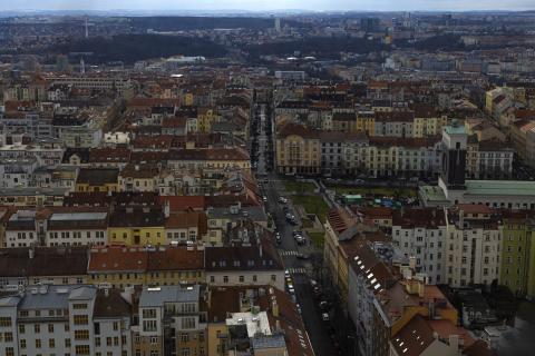 Photograph by Scott Joyce