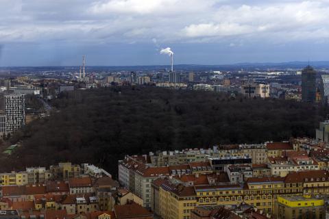 Photograph by Scott Joyce