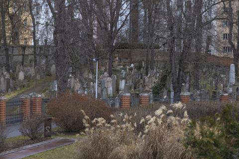 Photograph by Scott Joyce