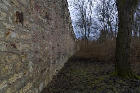 Photograph by Scott Joyce