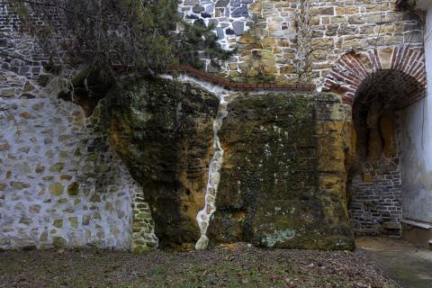 Photograph by Scott Joyce