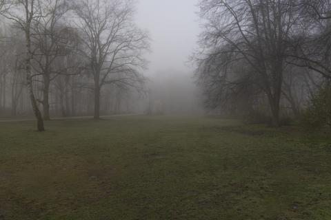 Photograph by Scott Joyce