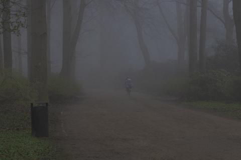 Photograph by Scott Joyce