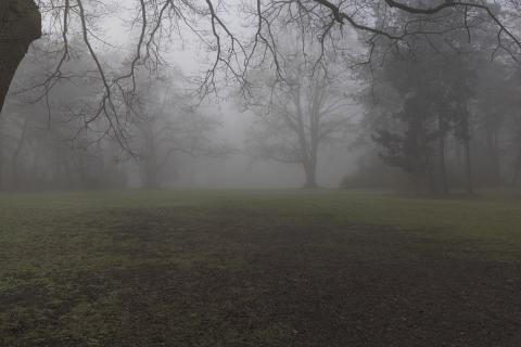 Photograph by Scott Joyce