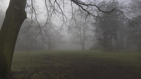 Photograph by Scott Joyce