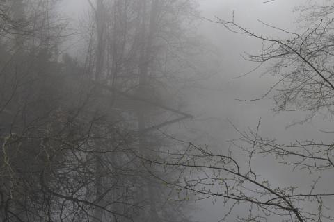 Photograph by Scott Joyce