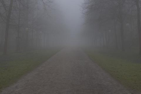 Photograph by Scott Joyce