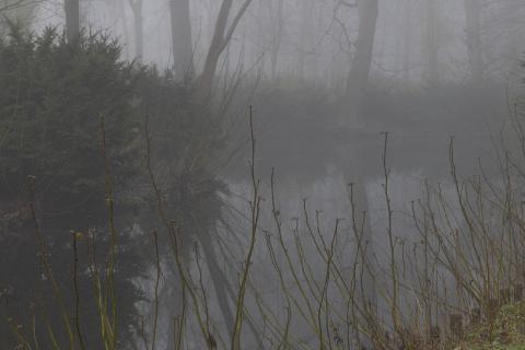 Photograph by Scott Joyce