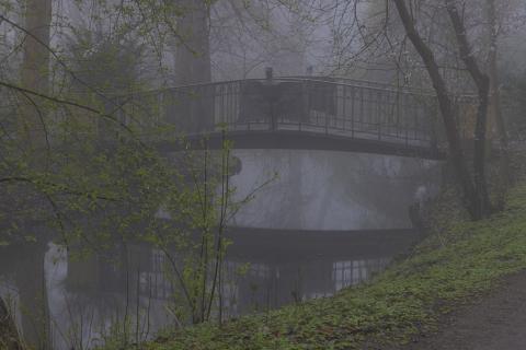 Photograph by Scott Joyce